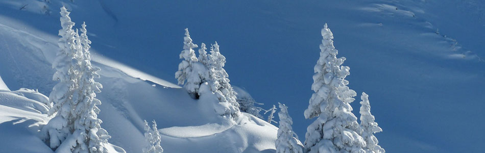 网站攻击软件工具