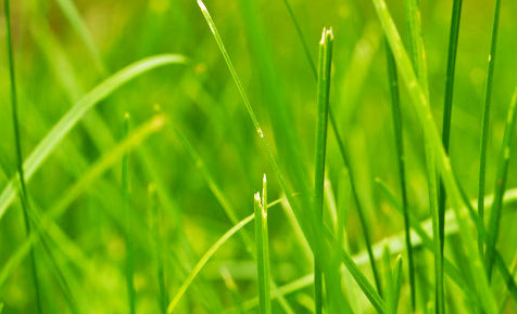 ddos网页在线攻击